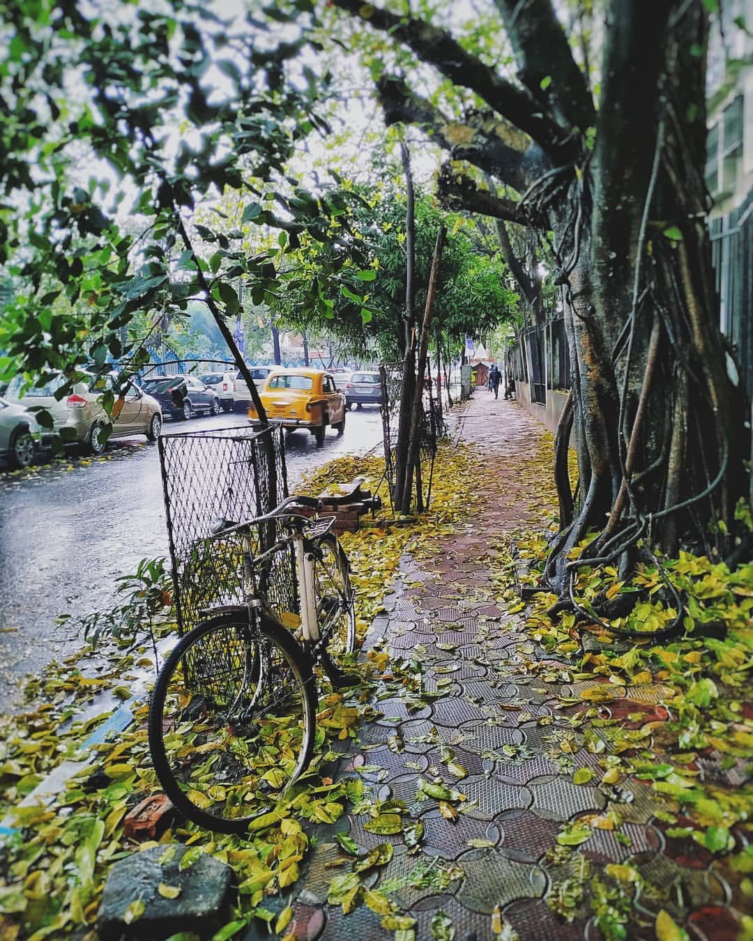 Rainclad. rains kolkata lanes kolkata diaries kolkatadiaries kolkata igers streetphotogr